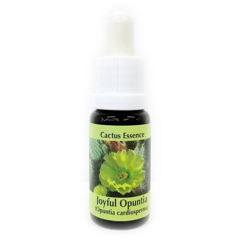 ジョイフル オプンティア カクタス《コルテPHIエッセンス》15ml