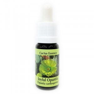 ���祤�ե� ���ץ�ƥ��� ���������ԥ����PHI���å��󥹡�15ml