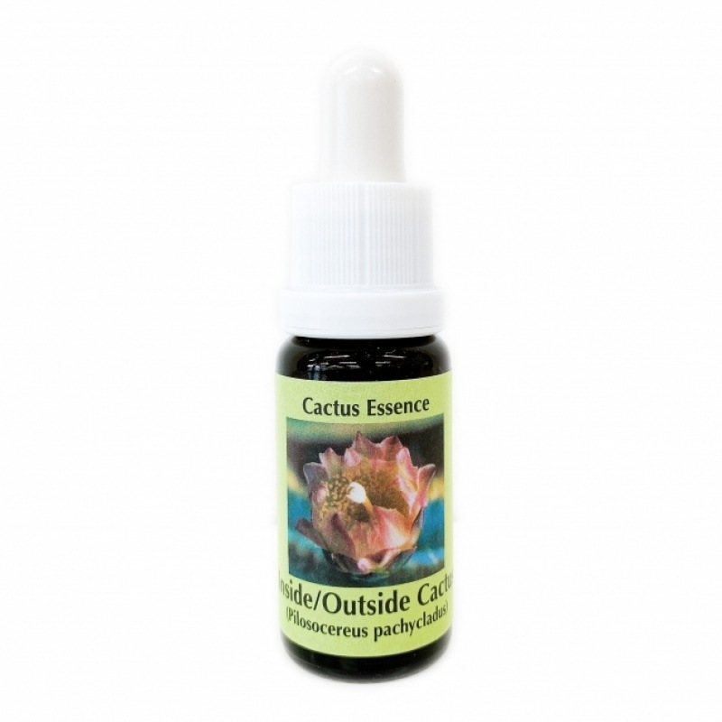 インサイド アウトサイド カクタス《コルテPHIエッセンス》15ml
