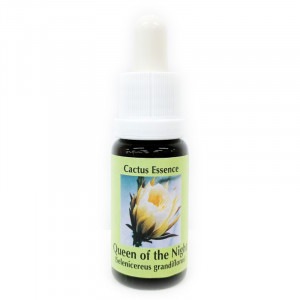 �������󡦥��֡������ʥ��� ���������ԥ����PHI���å��󥹡�15ml