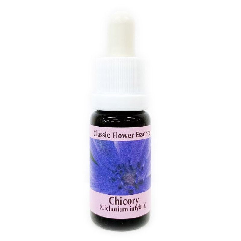 チコリー《コルテPHIエッセンス》15ml