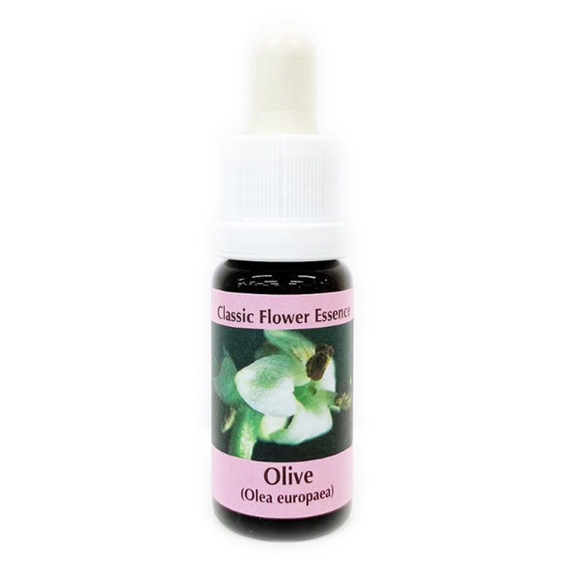 オリーブ《コルテPHIエッセンス》15ml