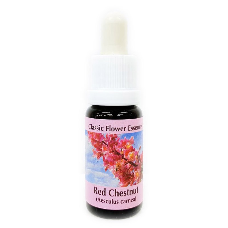 レッドチェスナット《コルテPHIエッセンス》15ml｜フラワーレメディ