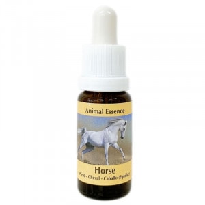 �ϡԥ����PHI���å��󥹡�15ml