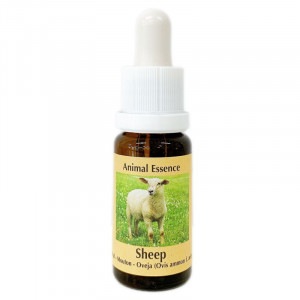 �ӡԥ����PHI���å��󥹡�15ml