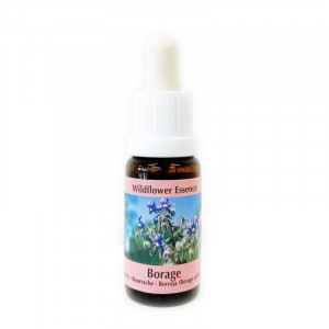 コルテPHIエッセンス,ワイルドフラワーエッセンス｜フラワーレメディ