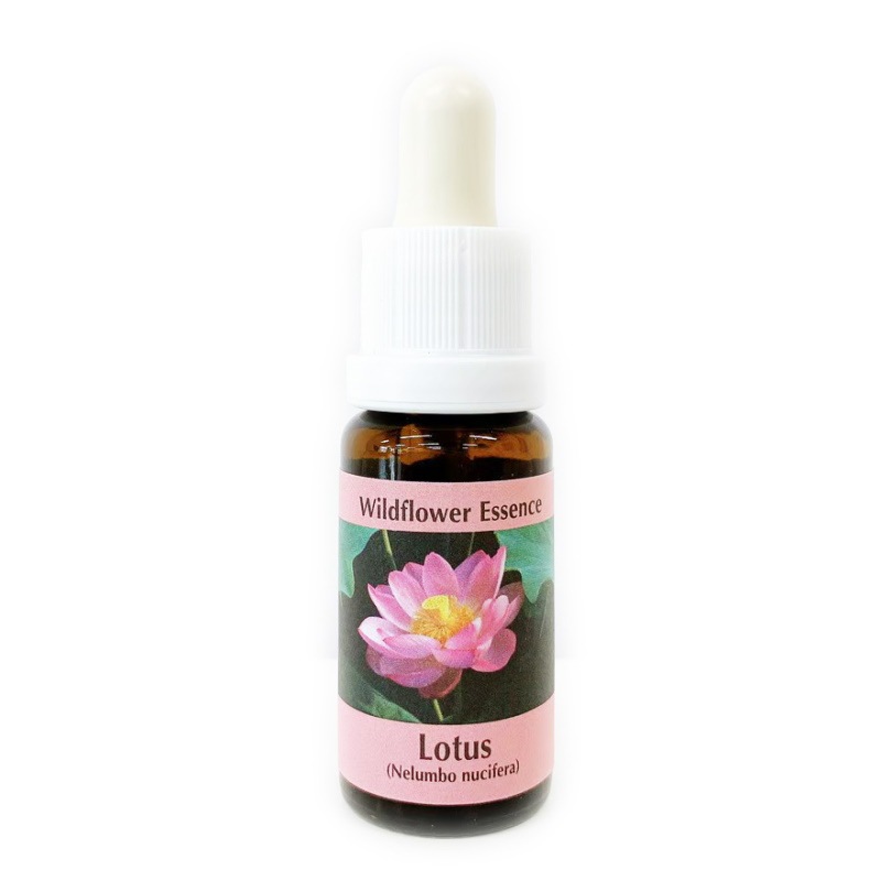 ロータス《コルテPHIエッセンス》15ml｜フラワーレメディ【公式】