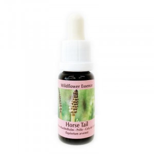 �ۡ����ƥ���ԥ����PHI���å��󥹡�15ml