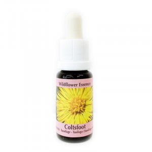 ����ĥեåȡԥ����PHI���å��󥹡�15ml