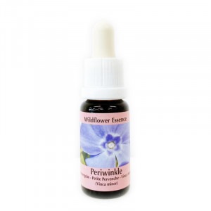 �ڥꥦ���󥯥�ԥ����PHI���å��󥹡�15ml