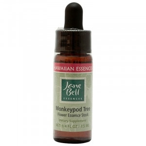 󥭡ݥåɥĥ꡼ԥ󡦥٥륨å󥹡7.5ml