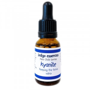 ������ʥ��ȡ���ʤ�ե����������ݤġˡԥ���ǥ������å��󥹡�15ml