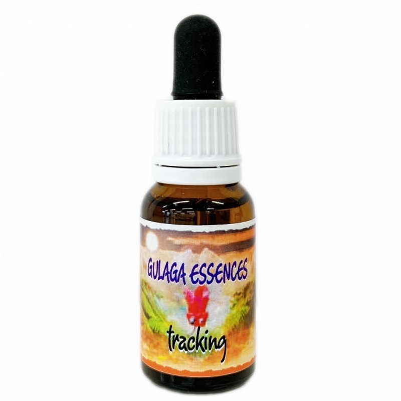 トラッキング《ヒマラヤン・フラワーエンハンサーズ》15ml｜フラワー