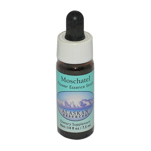 モーシャテル《アラスカンエッセンス》7.5ml｜フラワーレメディ《公式店》