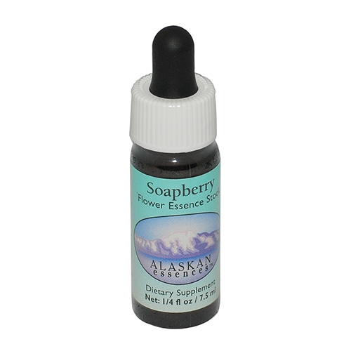 【予約品】グレーシャーリバー(30ml)アラスカンエッセンス　フラワーエッセンス ソープベリー《アラスカンエッセンス》7.5ml｜フラワーレメディ