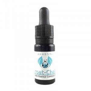 ��5���㥯�� �ʥ������ȥ��㥯��ˡԥޥ�ܥ�ե����å��󥹡� 10ml