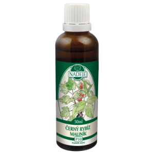 �����������βꥨ������Cerny rybiz-malinik�˥����⥨�����ԥʥǥ����� 50ml