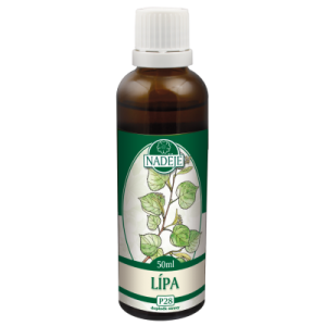 ��������βꥨ������Lipa�˥����⥨�����ԥʥǥ����� 50ml