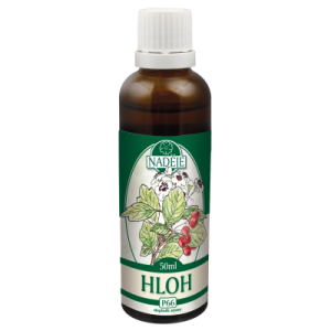 ���󥶥��βꥨ������Hloh�˥����⥨�����ԥʥǥ����� 50ml