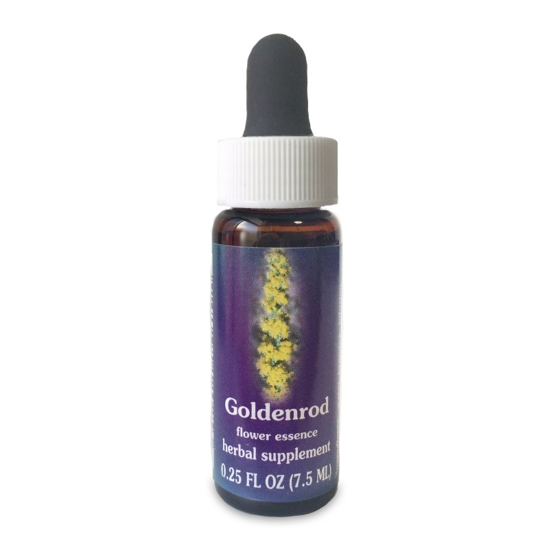ゴールデンロッド 《FESフラワーエッセンス》 7.5ml（取り寄せ品