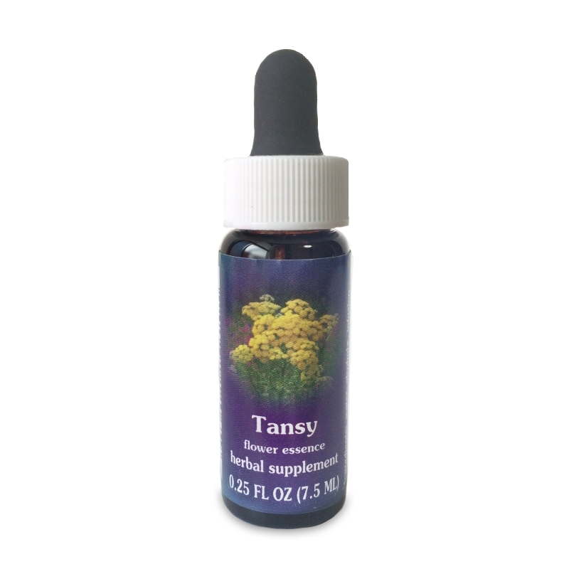 タンジー 《FESフラワーエッセンス》 7.5ml（取り寄せ品