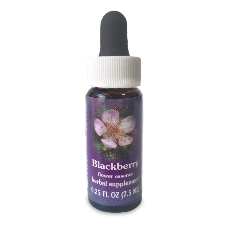 ブラックベリー 《FESフラワーエッセンス》 7.5ml（取り寄せ品