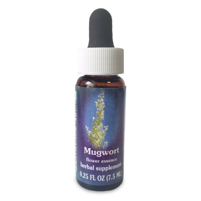 マグワート 《FESフラワーエッセンス》 7.5ml（取り寄せ品）｜フラワー