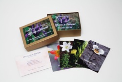 FES���ե��᡼����󥫡��ɡ����ܸ��ǡ� ��FES�ե����å��󥹡�103��ʼ����ʡ�