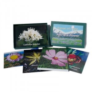 FES フラワーエッセンス 103本 フルセット Fesフラワーエッセンス フル