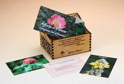 バッチフラワーレメディ 木箱入りフルセット バッチフラワー 専用木箱