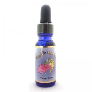 ȥ롼 ֡ʥ󥸥å ԥ󥸥åå󥹡 15ml