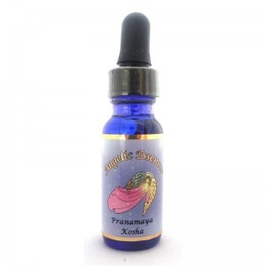 �ץ顼�ʥޥ� �������� �ԥ��󥸥���å����å��󥹡� 15ml