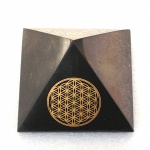 �ԥ�ߥåɷ����֥����ʥե����ե饤�աˡԥ���󥬥��ȡ�5cm