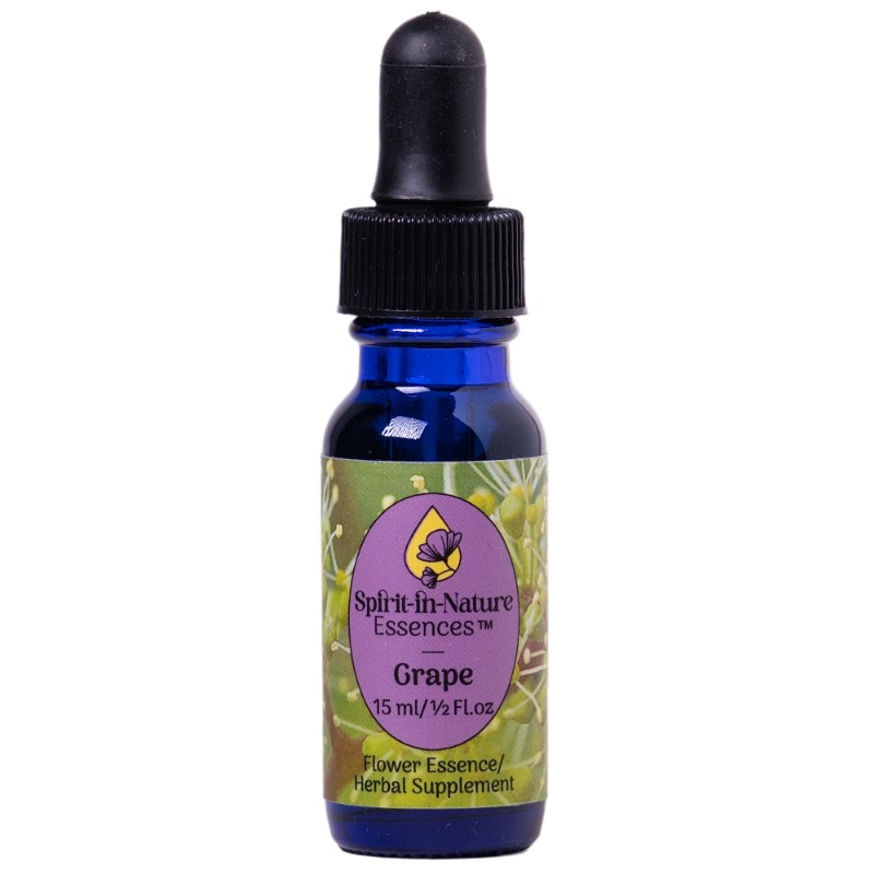 グレープ（愛）《スピリットインネイチャーエッセンス》15ml｜フラワー
