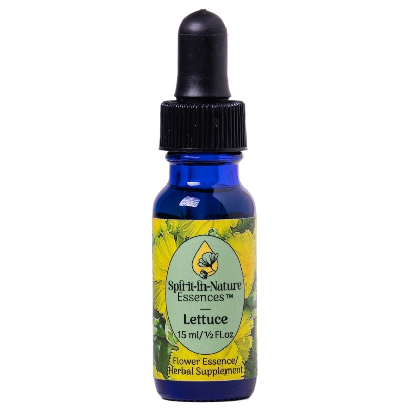 レタス（冷静）《スピリットインネイチャーエッセンス》15ml｜フラワー