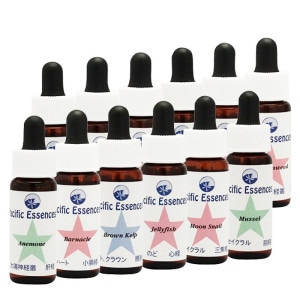 �������å��󥹷���12�ܥ��å�4�ԥѥ��ե��å����å��󥹡�