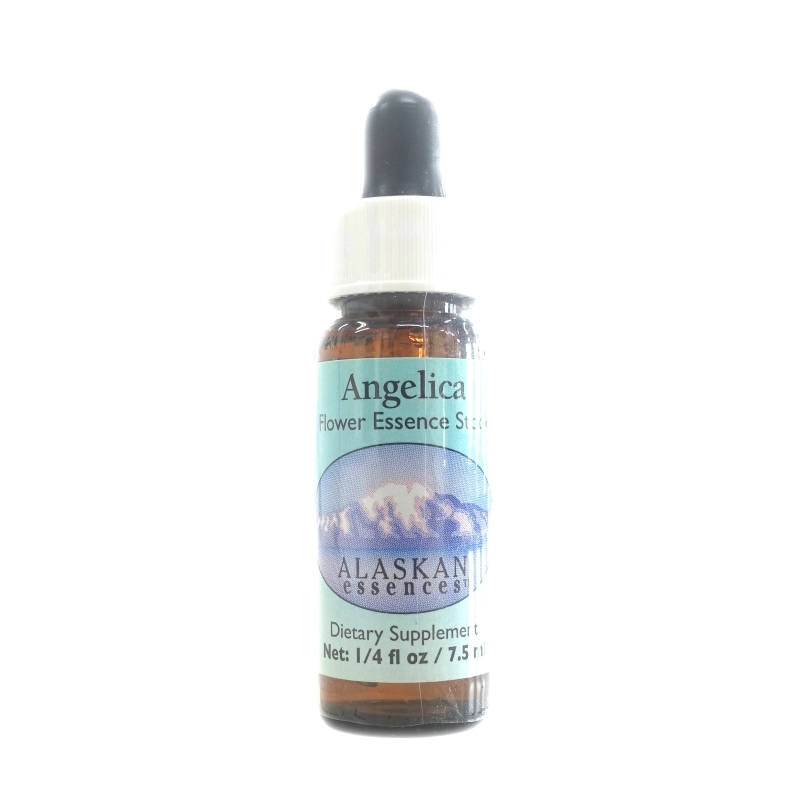 アンジェリカ《アラスカンエッセンス》7.5ml｜フラワーレメディ