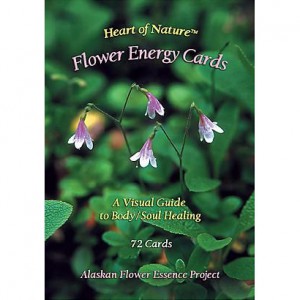 �ե����ʥ���������72��ԥ��饹���󥨥å��󥹡�