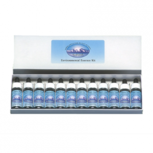 Х󥿥(Ķ)12ܥåȡԥ饹󥨥å󥹡30ml12ܥå