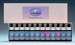 �ѡ����ʥ른�㡼�ˡ�12�ܥ��åȡԥ��饹���󥨥å��󥹡�7.5ml��12�ܥ��å�