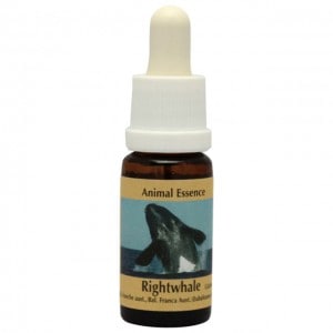 饤ȥۥʥߥˡԥPHIå󥹡15ml