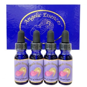 �ϡ��� ���� ������ ���å���4�ܡԥ��󥸥���å����å��󥹡�