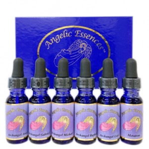 ���������󥸥��� ���åȡ���ŷ�ȥ��åȡ���6�ܡԥ��󥸥���å����å��󥹡�