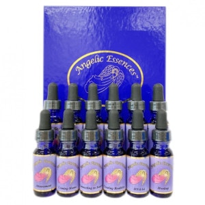 ���󥸥���å� ���ԥ���奢�� ��������&�����������˥� ���å���12�ܡԥ��󥸥���å����å��󥹡�