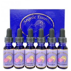 �ǥ��ӥ˥ƥ����å���6�ܡԥ��󥸥���å����å��󥹡�