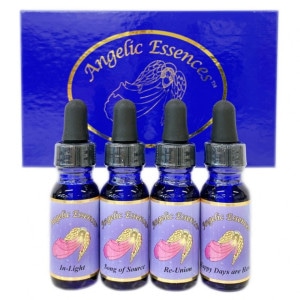 ����饤�ȥ��� ���å���4�ܡԥ��󥸥���å����å��󥹡�