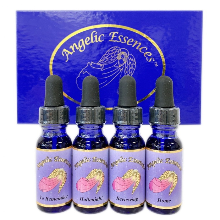 ホームカミング キット全4本《アンジェリックエッセンス》｜フラワー