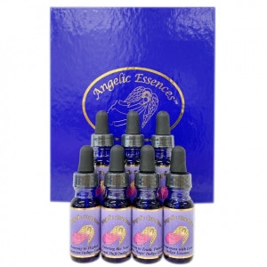 ����ǥ��� �쥤 ���꡼�� ���åȡʥ���ǥ����θ�����7�ܡԥ��󥸥���å����å��󥹡�