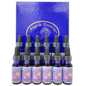 ���ꥢ�󥨥å��� ���å���12�ܡԥ��󥸥���å����å��󥹡�