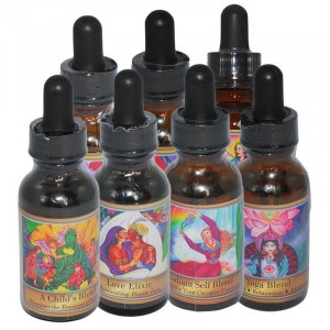 ���֥󥨥å��󥷥�륺���å���7�ܡԥѥ���֥ե��ҡ���󥰥��å��󥹡�30ml��7�ܥ��å�